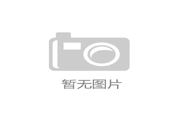草根选手如何通过努力打破职业局限成就不平凡人生从金融师到汽车修理工的奋斗故事